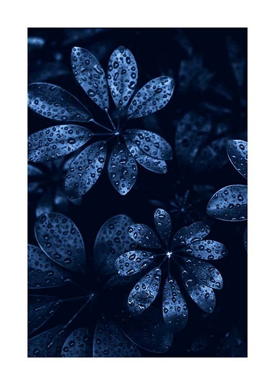 Raindrops on Leaves Poster / Photography at Desenio AB (11664)