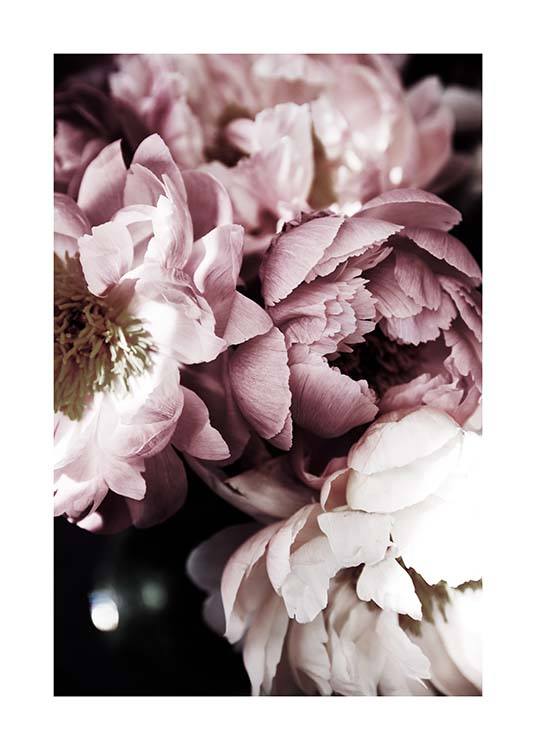 Dreamy Peony No3 Poster / Photography at Desenio AB (11777)