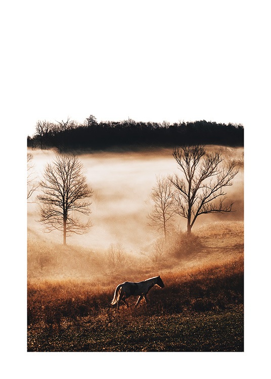 Horse in Landscape Poster / Photography at Desenio AB (11862)
