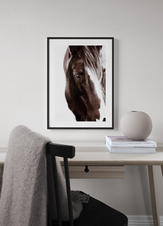 Horse with Blaze Poster