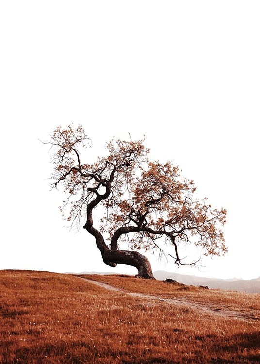 –Print of a tree on a hill. 
