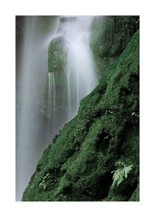 Waterfall in Forest Poster / Nature at Desenio AB (12080)