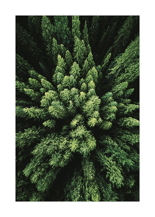 Aerial Forest Poster / Nature at Desenio AB (12083)