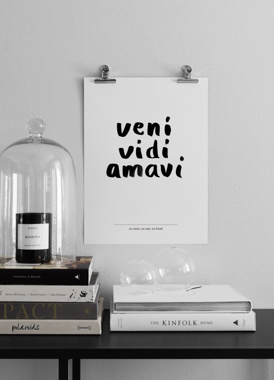 Snails Veni Vidi Amavi