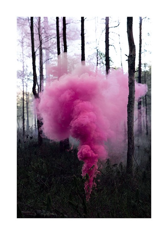 Pink Forest Poster / 19 ⅝ x 27 ½ in | 50x70 cm at Desenio AB (12175)