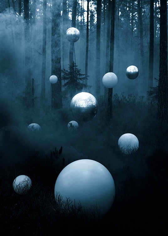Deep Forest Poster / 19 ⅝ x 27 ½ in | 50x70 cm at Desenio AB (12189)