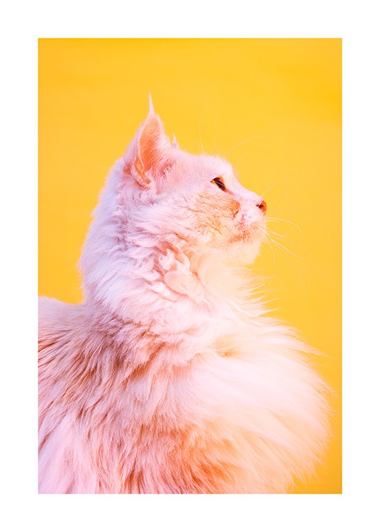 Pink Cat Poster