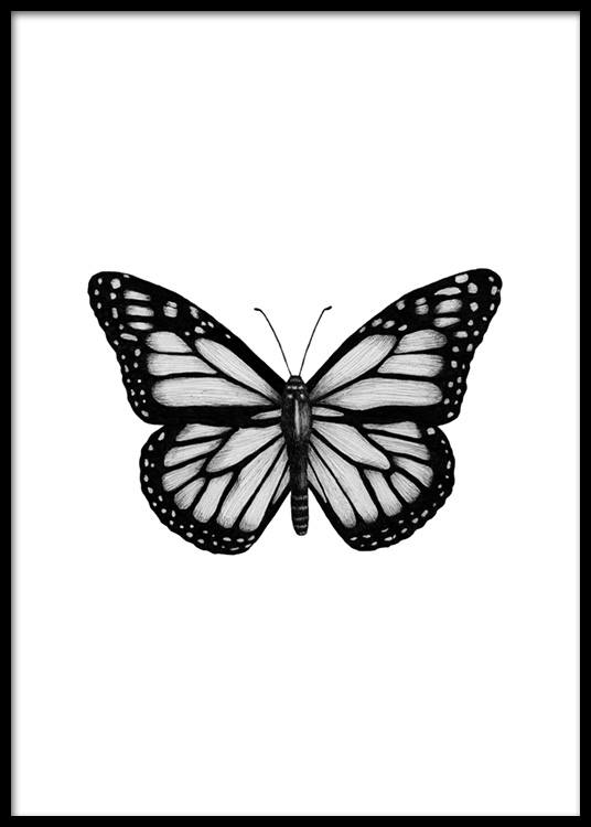 Verwonderend Butterfly Drawing Poster AB-37