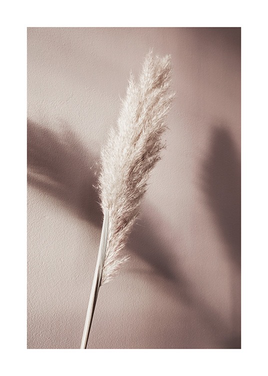 Beige Reeds No1 Poster / Photography at Desenio AB (12425)