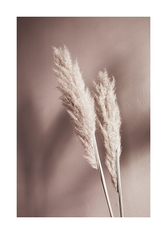 Beige Reeds No2 Poster / Photography at Desenio AB (12426)