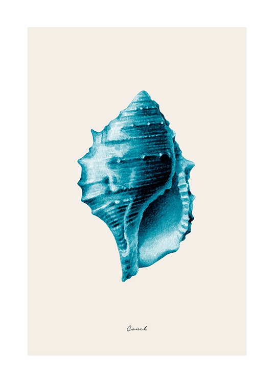 Blue Conch Poster / Illustrations at Desenio AB (12428)