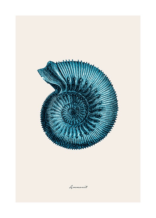 Blue Ammonit Poster / Nature at Desenio AB (12429)