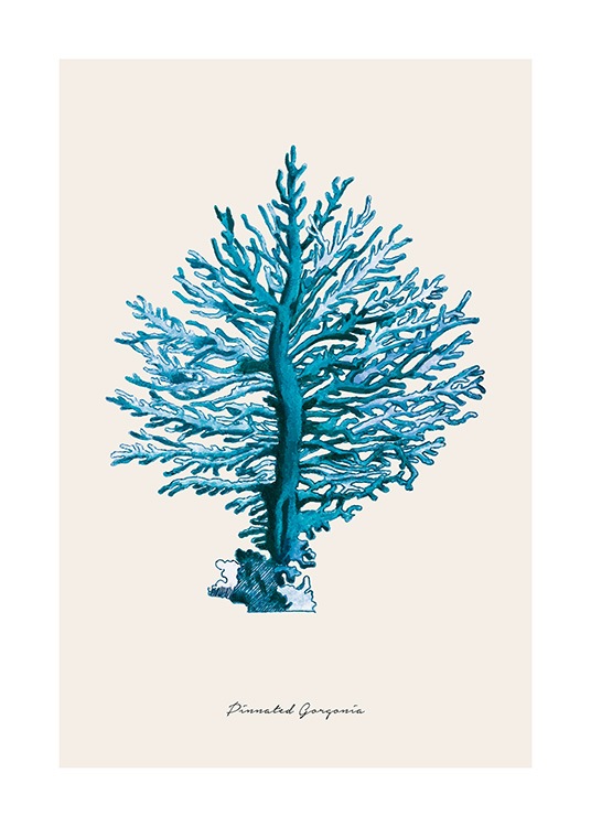 Blue Pinnated Gorgonia Poster / Nature at Desenio AB (12430)
