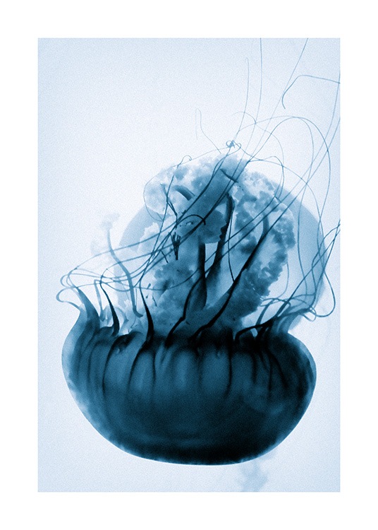 Floating Blue Jellyfish Poster / Photography at Desenio AB (12434)