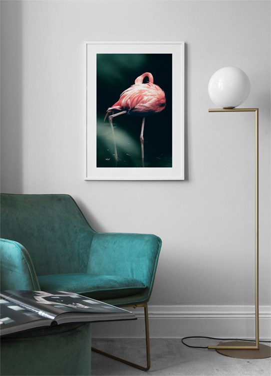 Wild Flamingo Poster