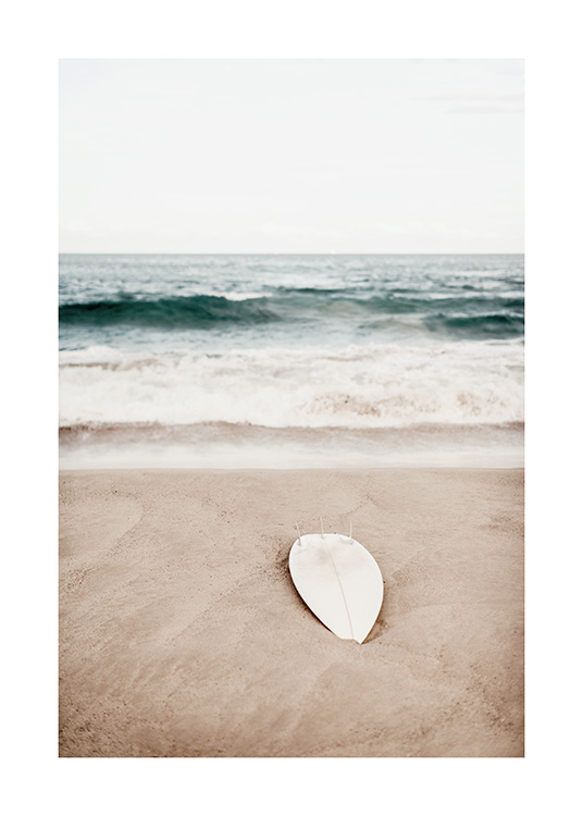 Surfing at Bondi Beach Poster / Tropical at Desenio AB (12646)