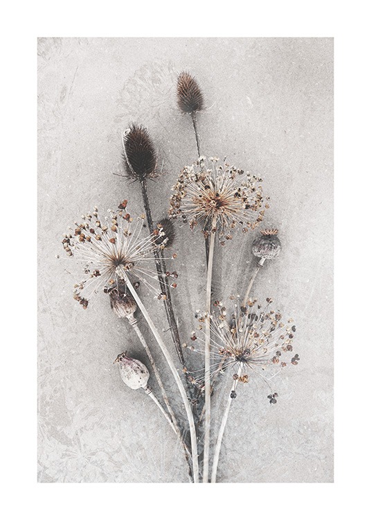 Dried Bunch of Flowers Poster / Photography at Desenio AB (12666)