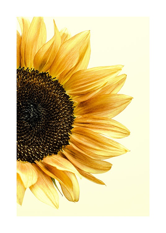 sunflower poster Sunflowers Print No.50 yellow flowers