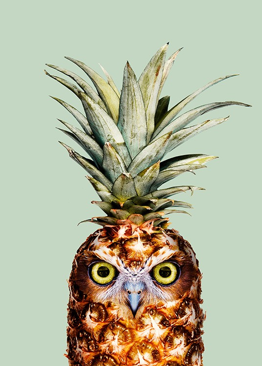 Pineapple Owl Poster / Photography at Desenio AB (12941)