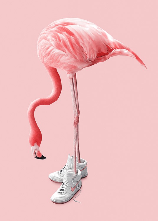 Sneaker Flamingo Poster / Photography at Desenio AB (12942)