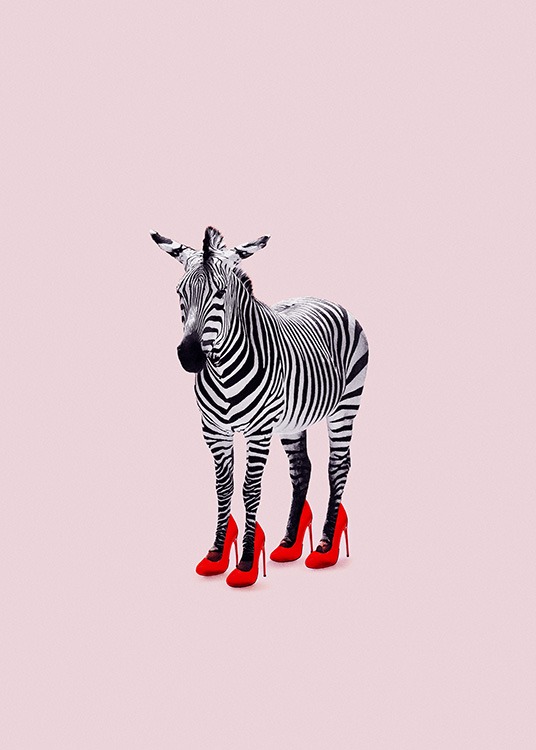 Zebra Heels Poster / Wild animals at Desenio AB (12943)