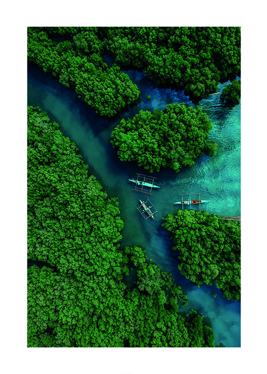 Photograph from above of river with boats in tropical forest
