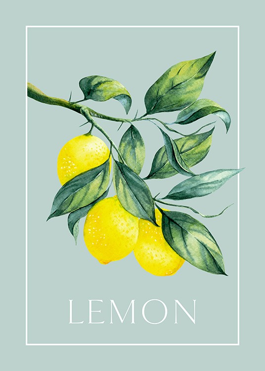 Vintage illustration of two lemons with Lemon written underneath and a rectangle around