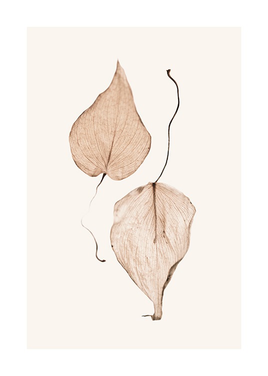 - Photograph with two brown dried leaves laying next to each other on beige background