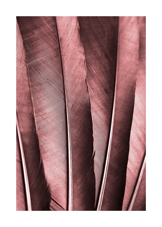 - Close up of feathers in a burgundy colour