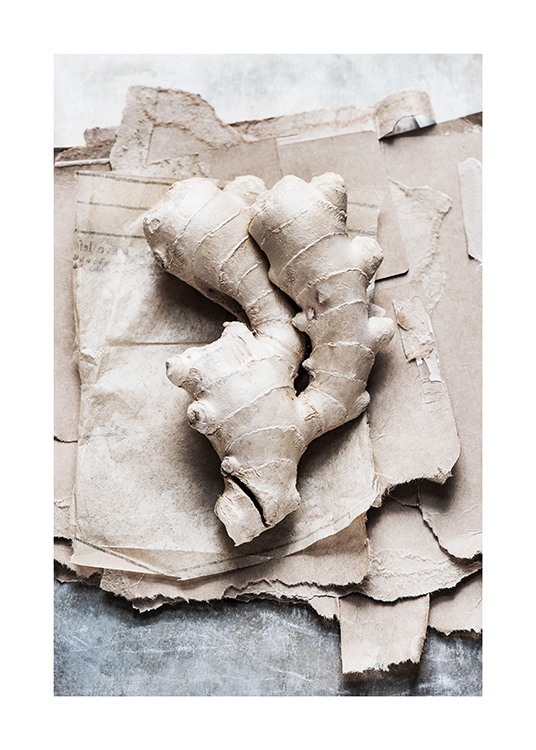  - Photograph of cardboard pieces with ginger on it