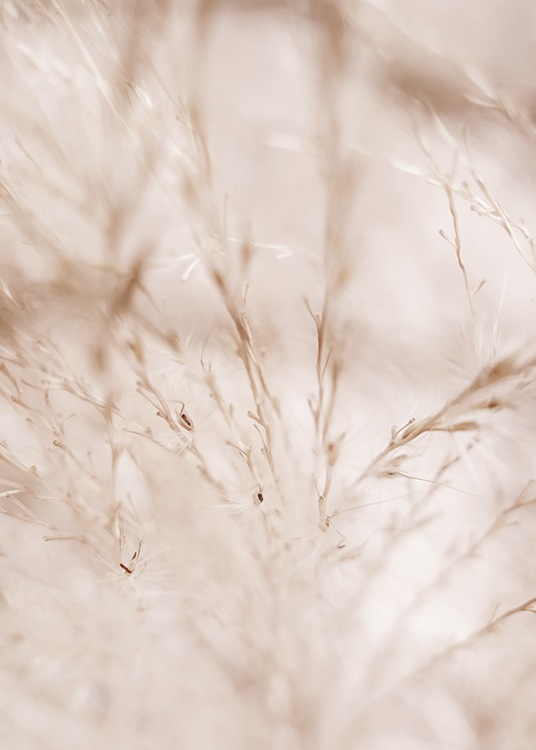  - Nature print with close up of light beige dried grass