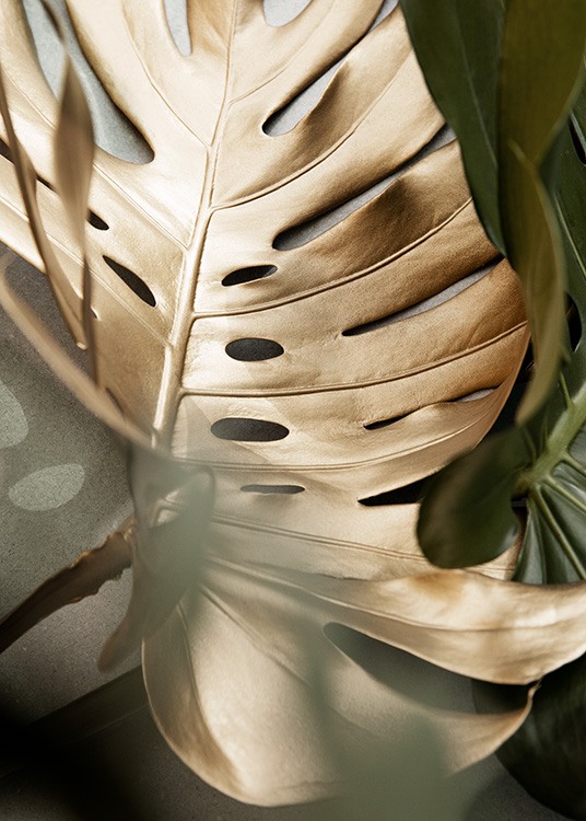  - Close up photograph of a monstera leaf in gold