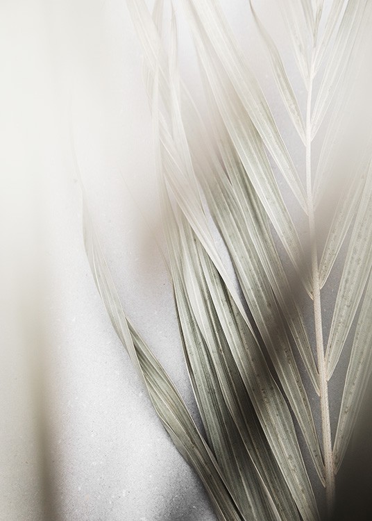  - Photograph of a foggy palm leaf
