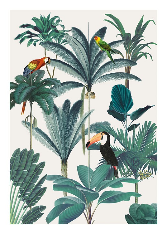 – Poster of birds in the jungle