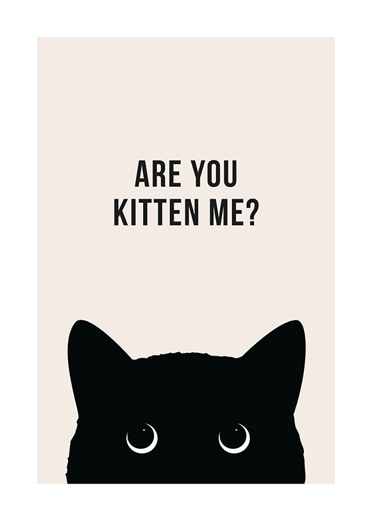 Are You Kitten Me? Poster / Humour at Desenio AB (13790)