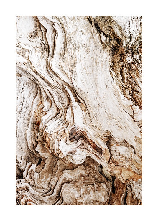 Driftwood Poster