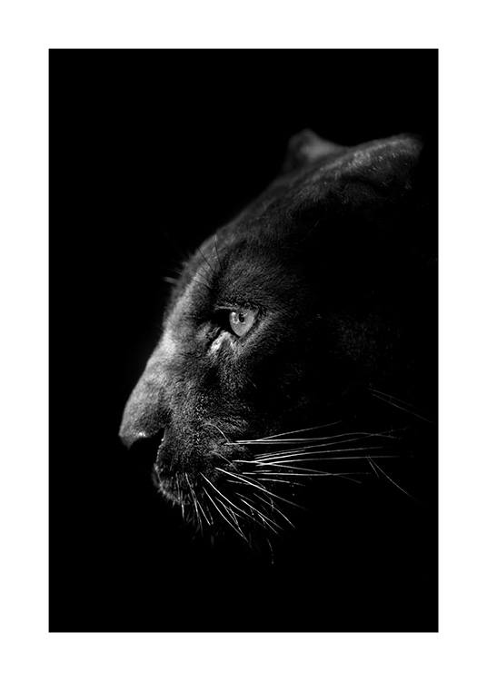 Panther B&W Poster / Wild animals at Desenio AB (13867)