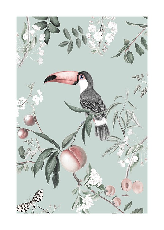  – Retro illustration of a toucan on a branch with peaches around it on a mint green background