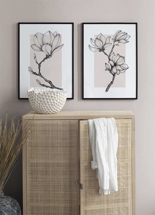 Magnolia Drawing No1 Poster Magnolia Sketch Desenio Com