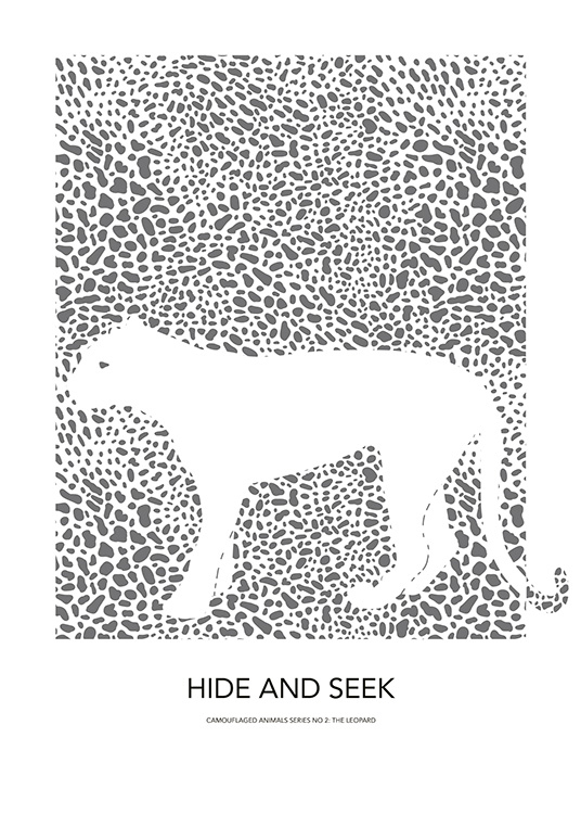 - Graphical illustration of a grey pattern and the contours of a white leopard