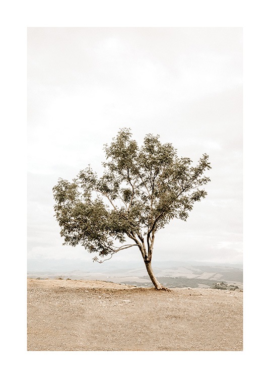  - Photograph of a leaning tree standing on a hill with a foggy landscape in the background