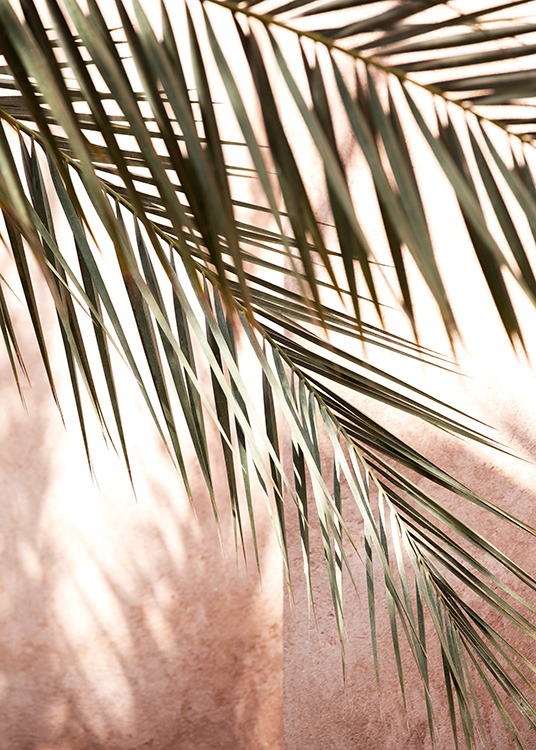  - Close up photograph of palm leaves and shadows against a pink background