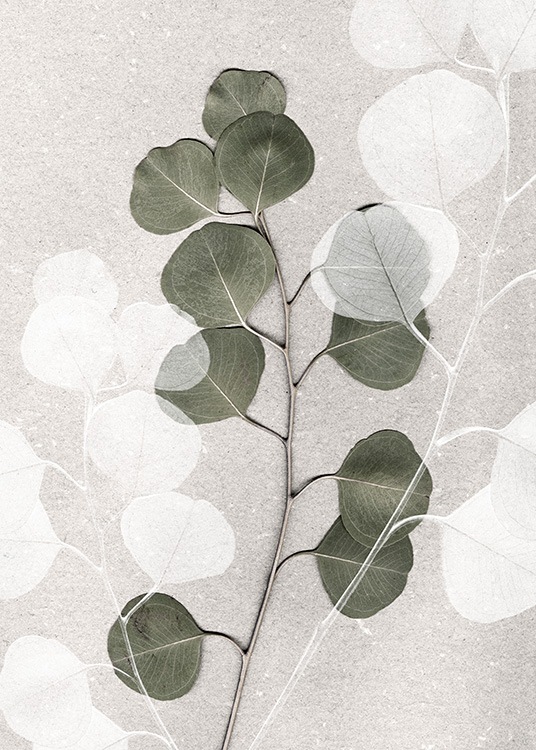  – Photograph of a green and white eucalyptus branch on a stone background in beige