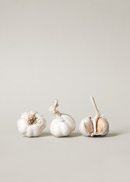  – Photograph of a row of garlics against a grey background
