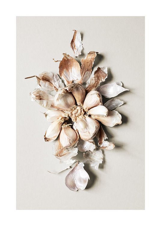  – Photograph of a garlic bunch in the shape of a big flower against a beige background