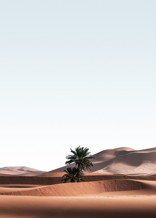  – Photograph of a desert landscape with palm trees in the sand dunes