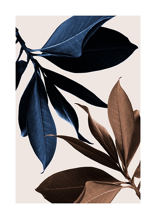  – Photograph of magnolia leaves in brown and blue on a beige background