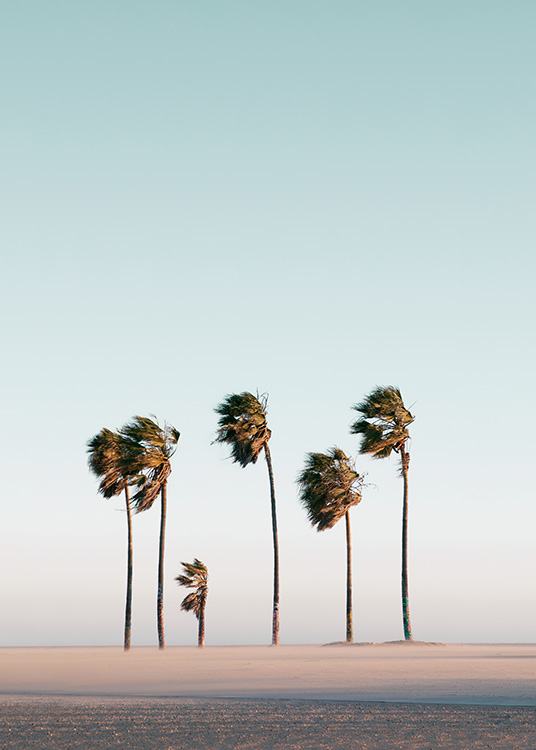  – Photograph of palm trees on a beach, blowing in the wind