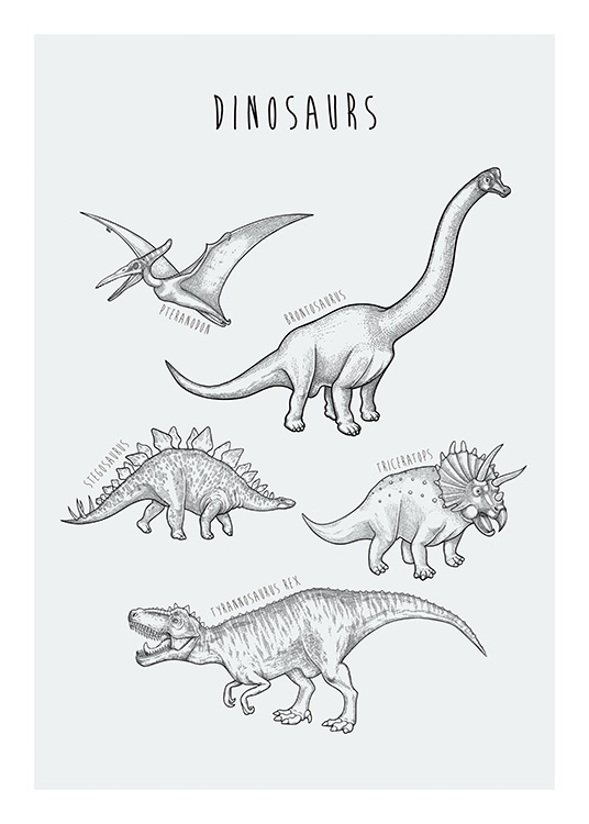  – Hand drawn illustration with various sorts of dinosaurs on a blue-green background