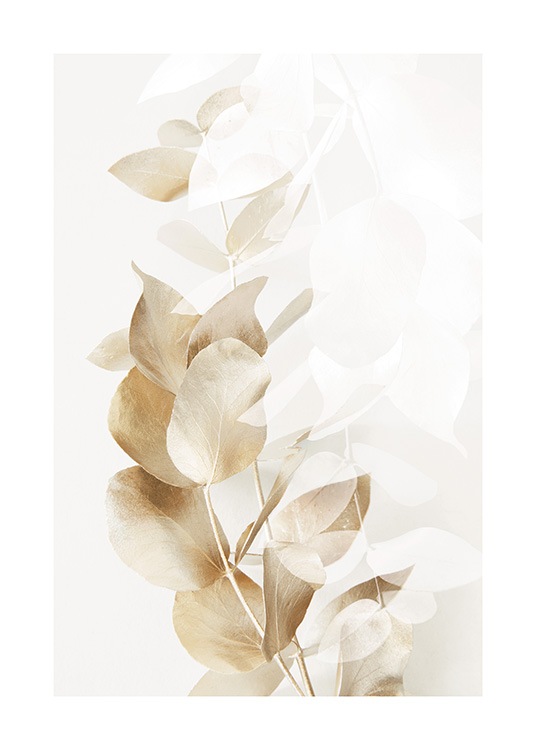  – Photograph of eucalyptus branches in gold and white on a light beige background